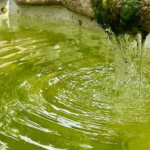 Lananai, Eco-ospitalità Alloggio in famiglia San Vito (Sardinia)